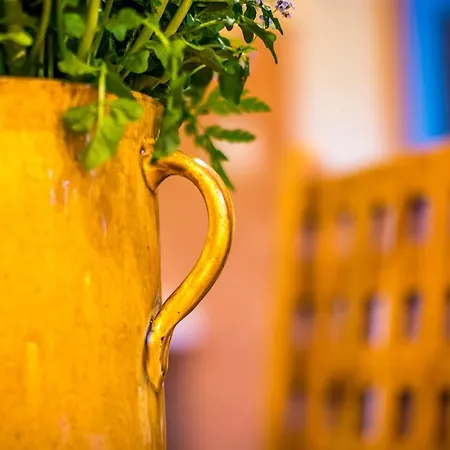 Rohacik - アパート *